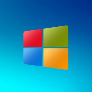 The logo 1.